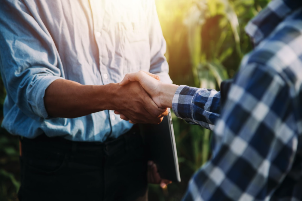 two people shaking hands in a field